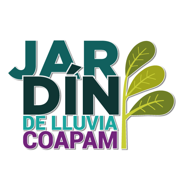 Jardín de Lluvia Coapam
